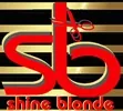 shine-blone-salon-spa-kolkata-west-begal-software-asansol-durgapur-siliguri